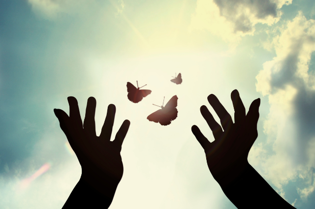 Silhouetted hands releasing butterflies into a glowing sky, symbolizing transformation and freedom.